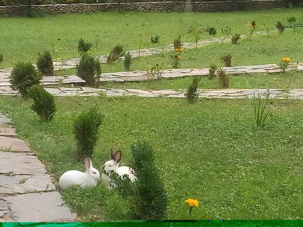 Holiday Park Ranchoto Hotel Kirkovo  Kültér fotó