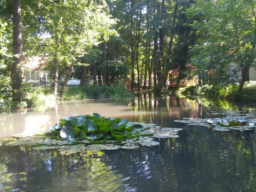 Holiday Park Ranchoto Hotel Kirkovo  Kültér fotó