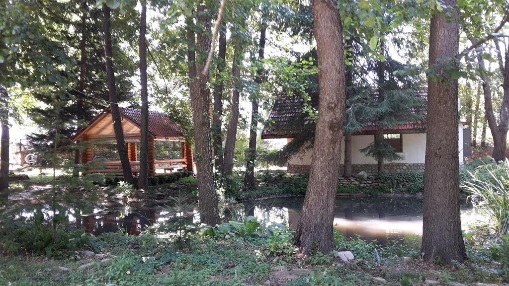 Holiday Park Ranchoto Hotel Kirkovo  Kültér fotó